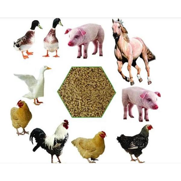 0.8-4 т/ч Машины для пелетного мельницы для сплавного стали