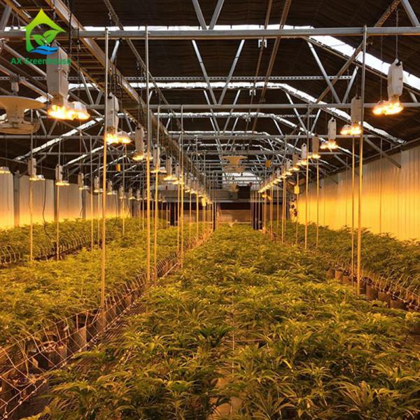 Blackout Mushroom Single-span Tunnel Light Deprivation Greenhouse For Agriculture