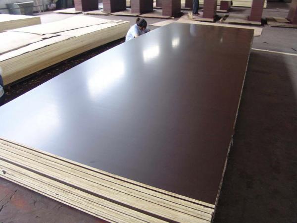 1220x2440x18mm poplar core film faced plywood, 18mm shuttering plywood, most popular construction marine plywood