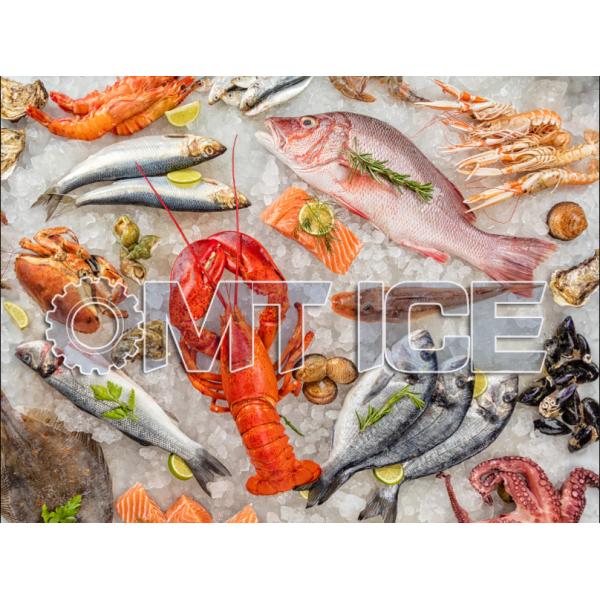 2000KG Capacity Industrial Flake Ice Machine Automatic 2Ton Dry Ice For Fishery