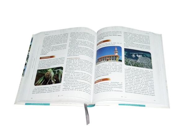 L'impression Softcover la meilleur marché et l'attache de livre d'OEM/ODM entretiennent en ligne sur demande