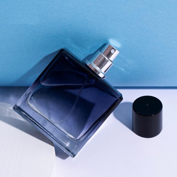 50ml Perfume Bottle Glass Bottle with zamak plastic Magnet Cap, Press Type Spray, Sub Bottle, Empty Cosmetic Bottle