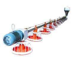 Птицефабрика Автоматическая система кормления шнеком Кормушка для куриных клеток