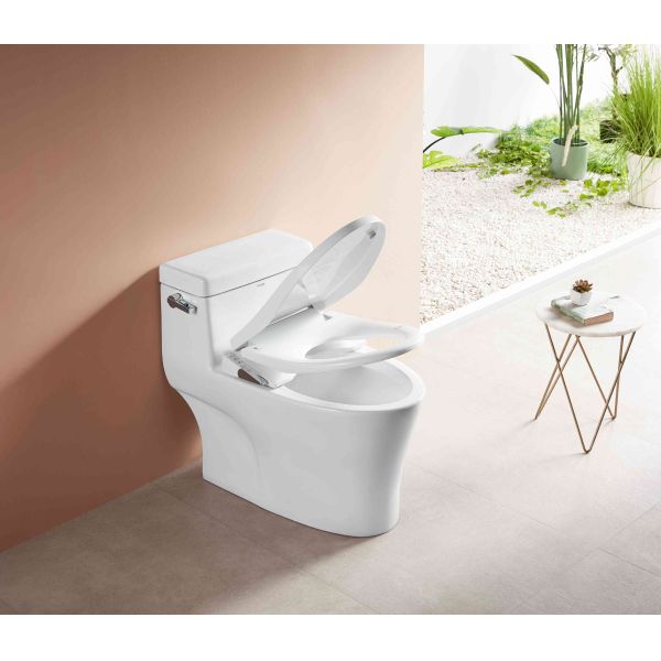 Arrow Remote Control Smart Toilet with Concealed Tank and 2-Year Warranty Modern One Piece Ceramic Toilet