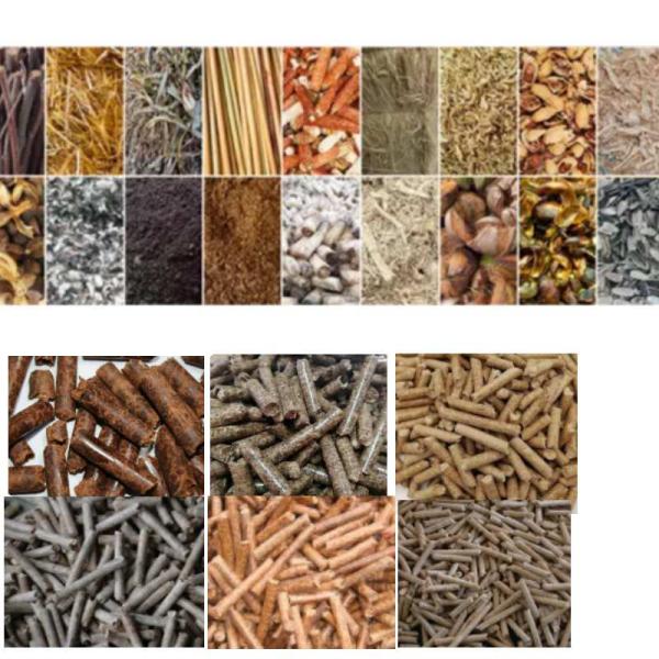 Таблетка из горючег биомассы шелухи риса мельницы лепешки соломы деревянная делая машину 100 до 1000 Kg