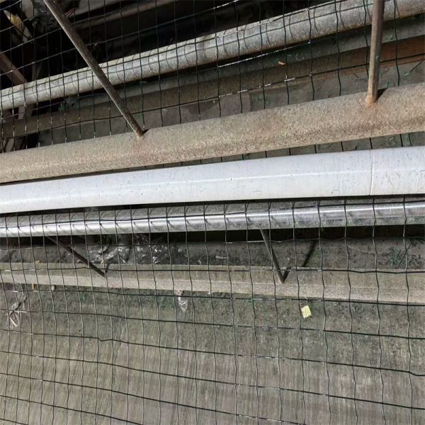 Hot Dipped Galvanized Steel Woven Wire Mesh for Animal Pet Cages Plain Stainless Steel Welded Wire Fencing