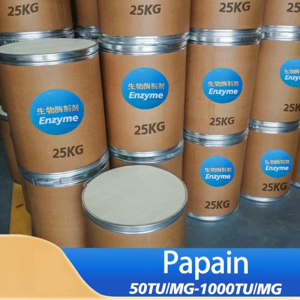 Enzyme de papaye 50TU/MG-1000TU/MG personnalisée de qualité alimentaire et pharmaceutique