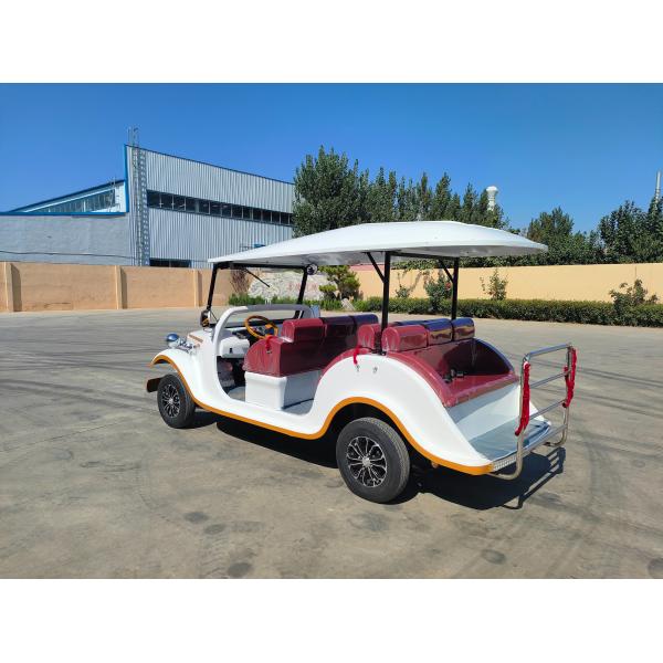 8-местный электромобиль Классический внешний вид Логотип печати индивидуальные EV Классические автомобили для отдыха