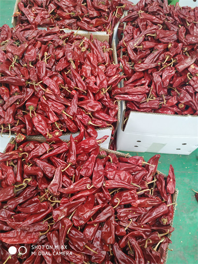 Высушенный Chili Yidu с рангом a стержня высушил красные стручки Чили