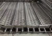 Sus 304 Mesh Conveyor Belt Pineapple Washing à chaînes de la CE
