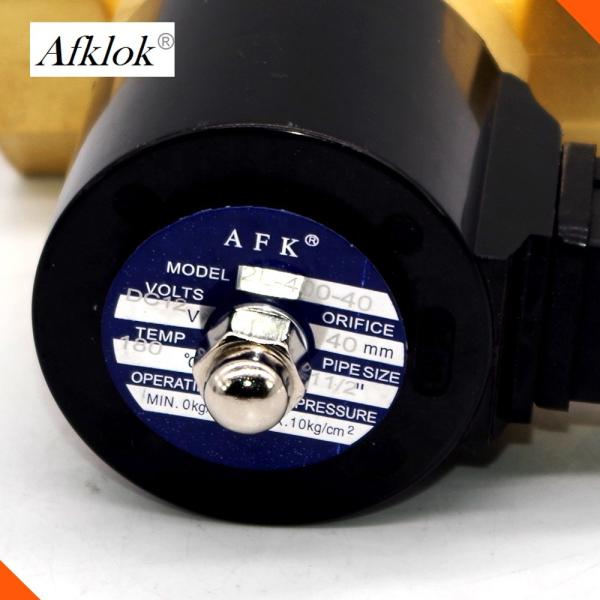 110V 220V Steam Solenoid Valve 0.2-1.6Mpa B Class Insulation Grade CE Certification