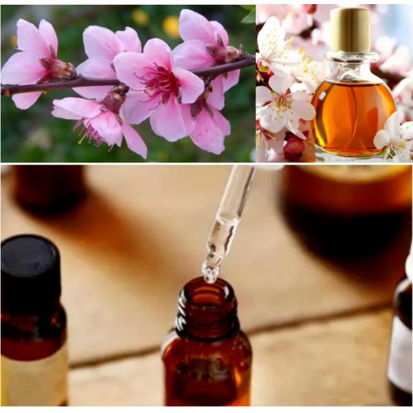 Concentrated Peach Blossom Essence Oils For Body Wash Shampoo Products