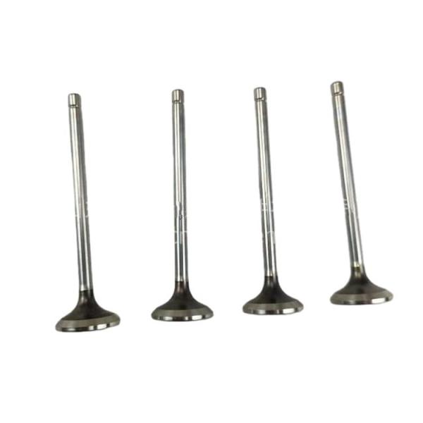 Auto Spare Parts  2408000300800-c Intake & Exhaust Valve Exhaust Engine Intake Valve for QC480