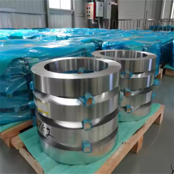 Estripa de acero inoxidable resistente al calor 310S 321 Grados 0.2-4mm ASTM A167