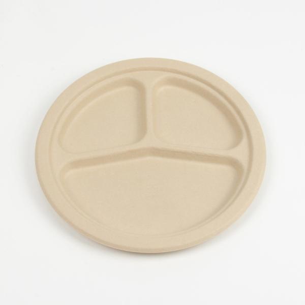 Renewable 8in 10in Biodegradable Bagasse Tableware Plate Pfas Free Take Out Containers