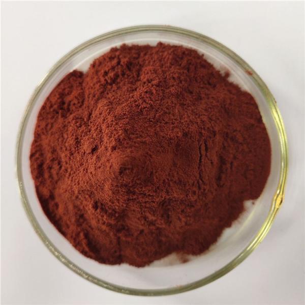 wholesale nutrition supplement extract parsley leaves with best price