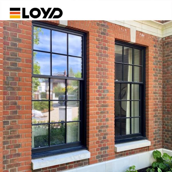 Slim Frame Double Single Hung Window with Low-E Glass