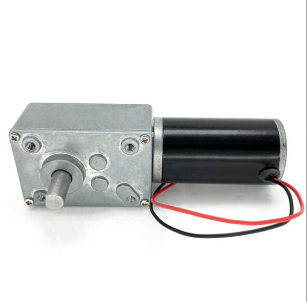 Faradyi Most Popular 12V 24V 5840 Worm Gear Self Locking Micro Dc Gear Motor