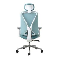 Rodízio de nylon padrão lombar ergonômico azul do apoio BIFMA de cadeira de mesa de Unigamer
