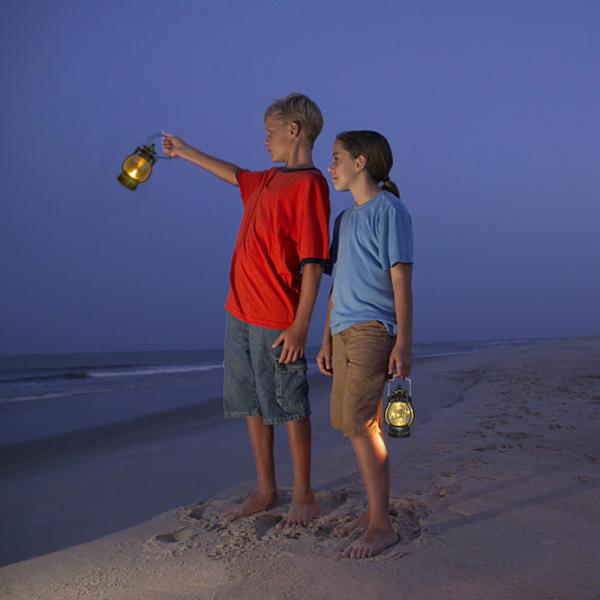 Battery Powered Night Light Energy Saving Camping Portable Night Light