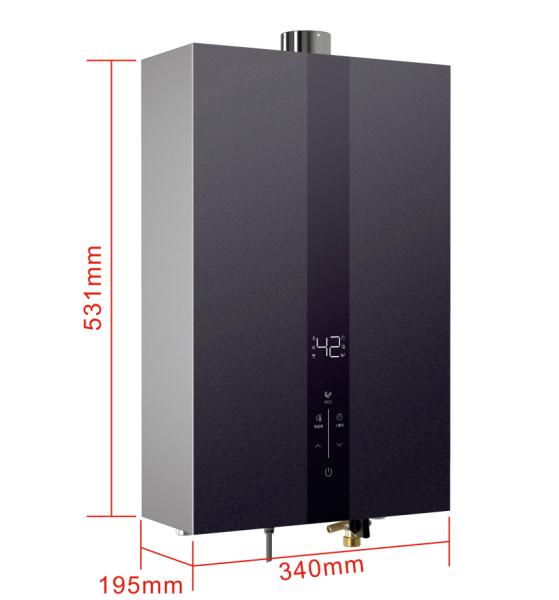 12L to 16L Instant Hot Water Heater Gas Wall Mounted Tankless Gas Water Heater for Home Bathroom Anti-Corrosion