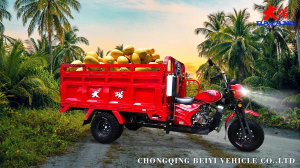 Chinese Manufacturers 300cc Self Loader Gas Powered Five Wheel Tricycle for Products