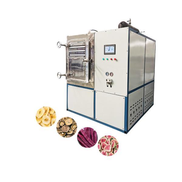 Forno de secagem por aquecimento eléctrico para vegetais e frutas Secagem por congelamento em casa