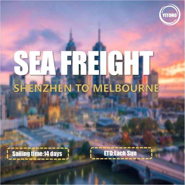 Международная перевозка моря от Шэньчжэня к плаванию Мельбурна Австралии сразу