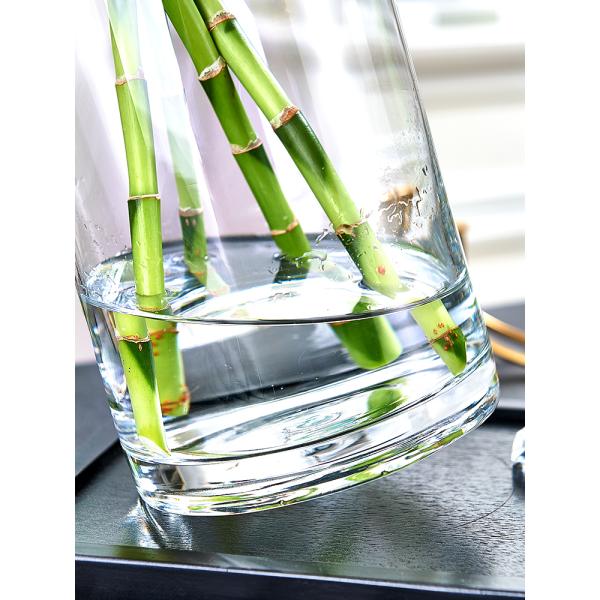 Minimalist 60cm High Tall Glass Vases The Perfect Combination of Style and Function