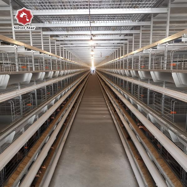 Большие птицы клетки батареи 90 слоя цыпленка куриц размера двери/набор