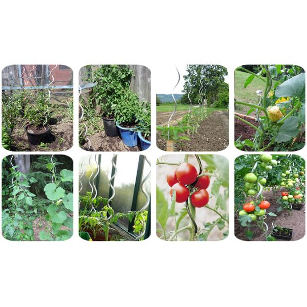 завод серии провода металла 6mm x 1.8m растя спиральные колья