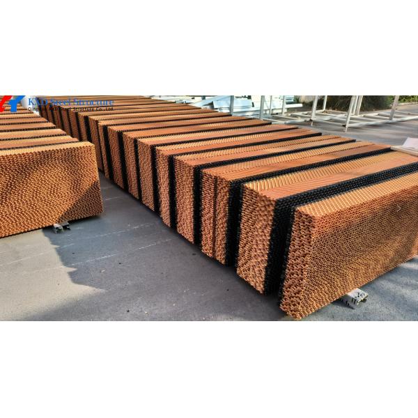 Construction d'un hangar de porcherie en acier à longue portée bâtiments de volaille en acier