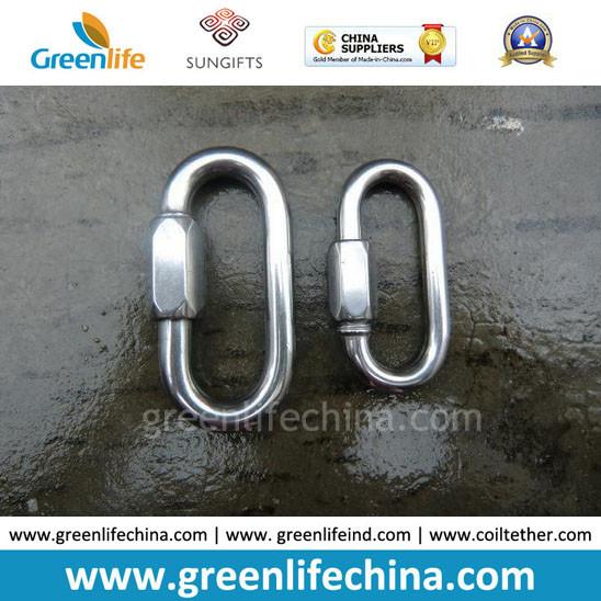 Stainless Steel Full Sizes Heavy Duty Carabiner with Ring For Tools Attaching