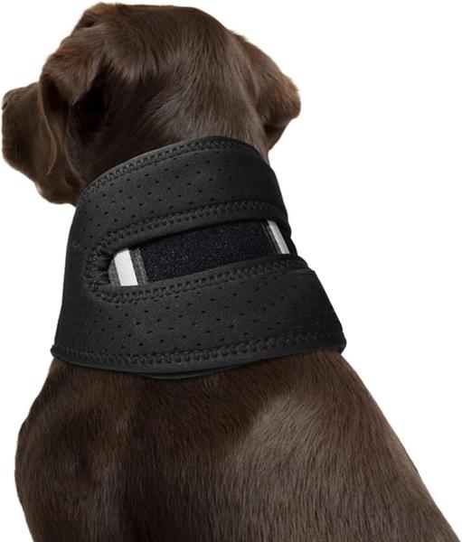 Dog neck brace