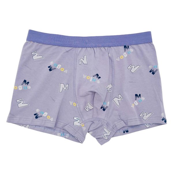 Men Boxer Brief Cotton Wholesale Rich Colors Plus Size Men's Boxer Briefs