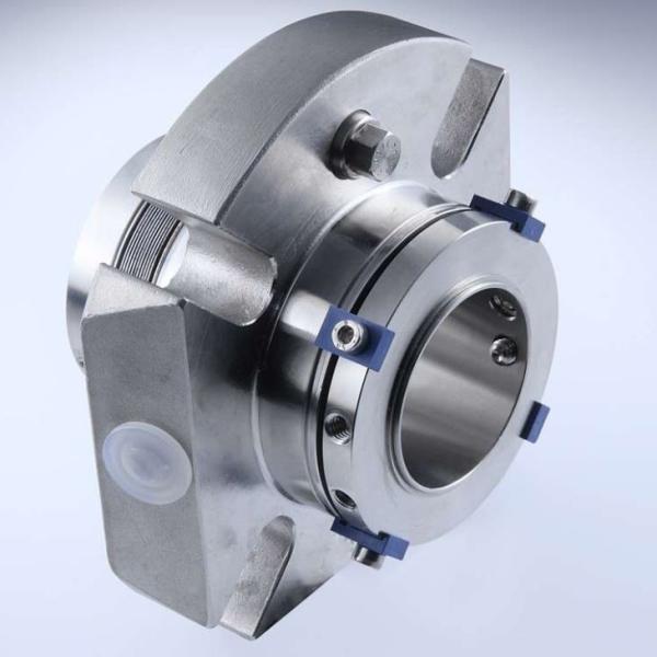El sello mecánico de la sola bomba del cartucho de KL-MTEX substituye bramido del metal de Burgamann MTEX
