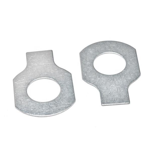 DIN93 Tab Washer com as arruelas lisas de aço inoxidável dos prendedores inoxidáveis longos da aba A4