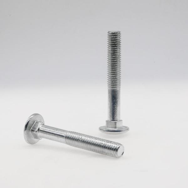 Customized carriage screws