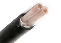 2 le noyau 0.6/1 le kilovolt XLPE a isolé ignifuge engainé par PVC de cable électrique