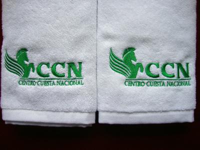 lowest price small MOQ 100% cotton custom logo embroiderd gym sports towel