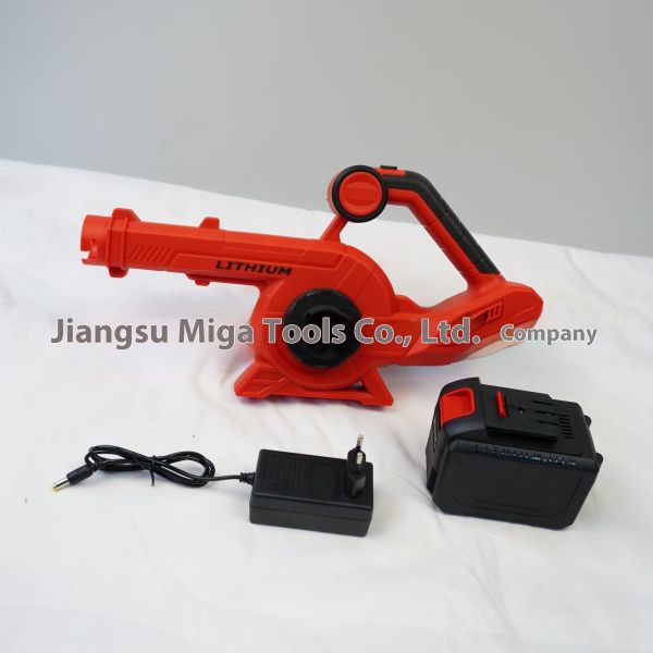 High-Power Industrial Dual-Purpose Brushless Rechargeable Lithium Electric Hair Dryer Dust Collector Blowers Private Plastic