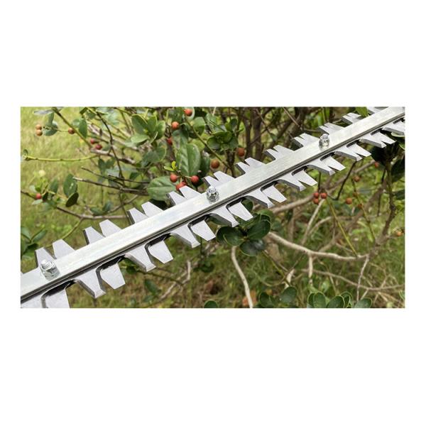 esquileos sin cuerda del seto de seto del jardín 21V de la cuchilla dual recargable eléctrica del condensador de ajuste