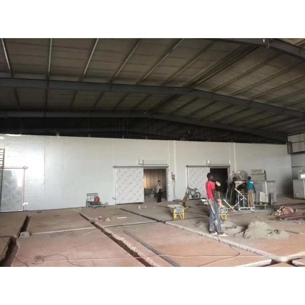 Almacén Almacén frío Sala de trabajo en el enfriador para equipos de refrigeración cámara congeladora