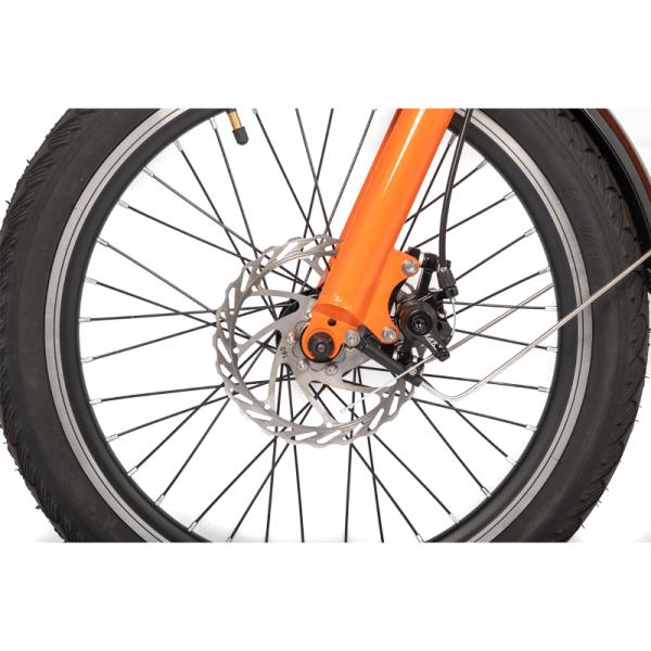 Family Delivery E-cargo Two Battery Max Loading Family E Bicycle Electric Bike With Basket