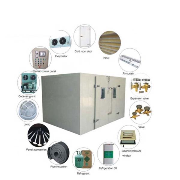 Medical Cold Storage Room / Orange Fruits Spring Onion Air Blast Freezer