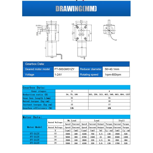 DC 12V24V 100Kg High-torque Worm Reducer Geared Motor