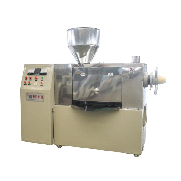 Coconut Oil Extraction Fully Automatic Oil Press Machine   Sprial Oil Pressing Low Residual Oil Rate