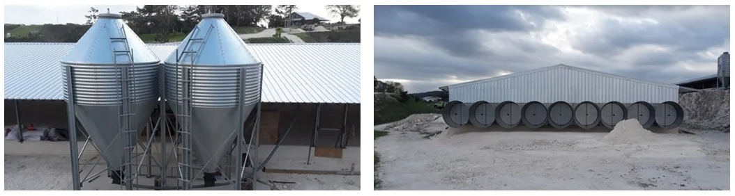 Customizable Automatic Broiler Floor Feeding Equipment with Hot Air Circulation System for Poultry House
