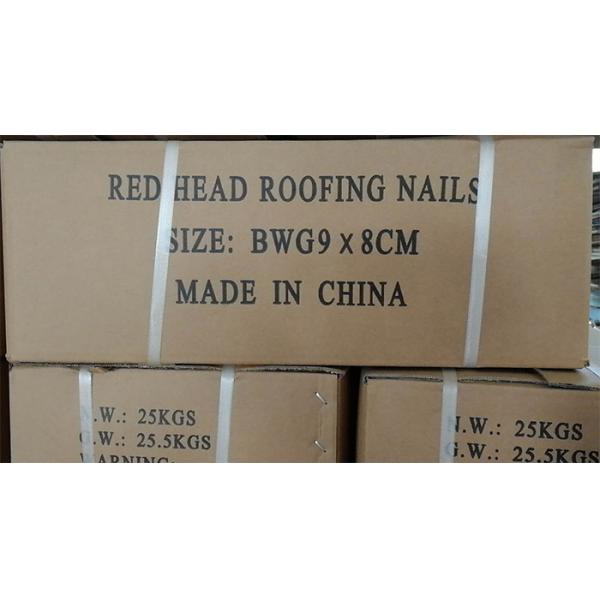 Red Head Roofing Nails With Plastic Washer High Strength Galvanized Roofing Nails