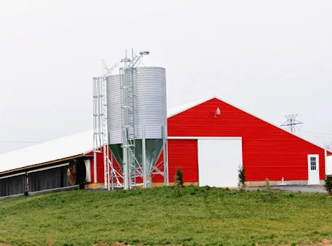 Smart Climate Control High-Efficiency Poultry House with Automated Feeding & Watering for Chicken Farms